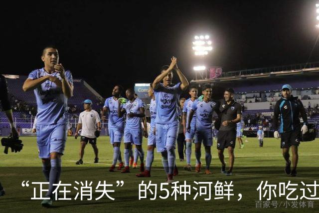 “正在消失”的5种河鲜，你吃过几种？最后1种味道极鲜却少有人吃